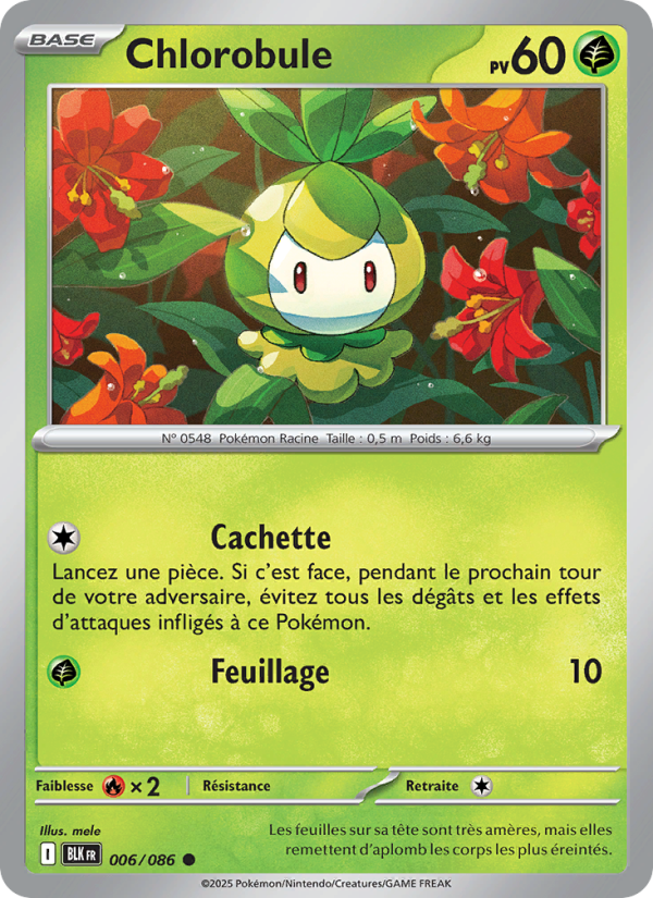 Chlorobule 006/86