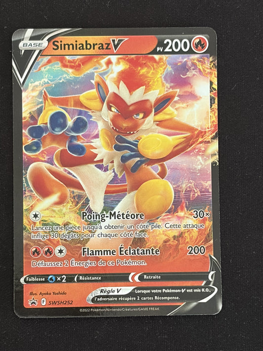Simiabraz V 252 recto