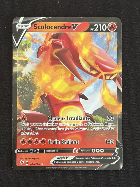 Scolocendre V 033 recto
