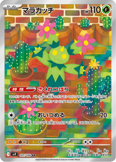 Maracachi 101/100 AR SV9 (Japonais)