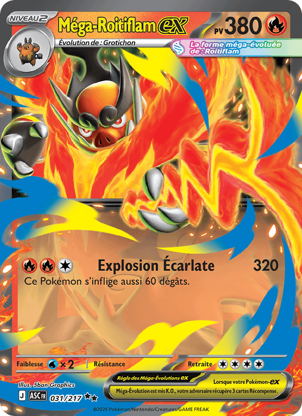 Méga-Roitiflam ex 031 ASC (Français)