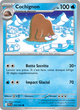 Cochignon 024/94