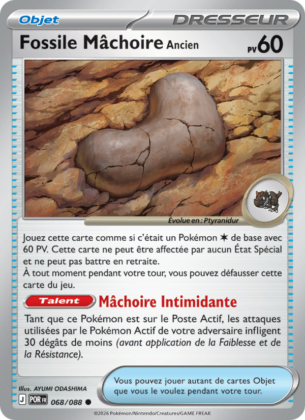 Fossile Mâchoire Ancien 068/88