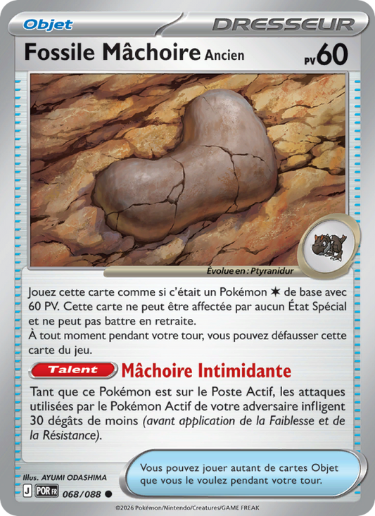 Fossile Mâchoire Ancien 068/88